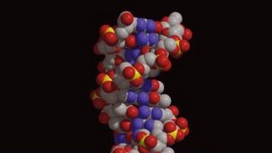 Teilchendurchgang durch DNA