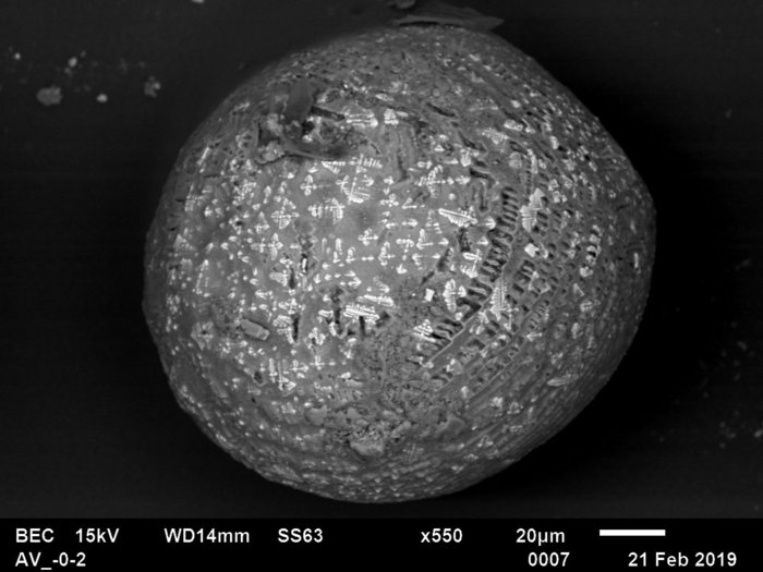 Mikroskopaufnahme eines runden Gesteinspartikels