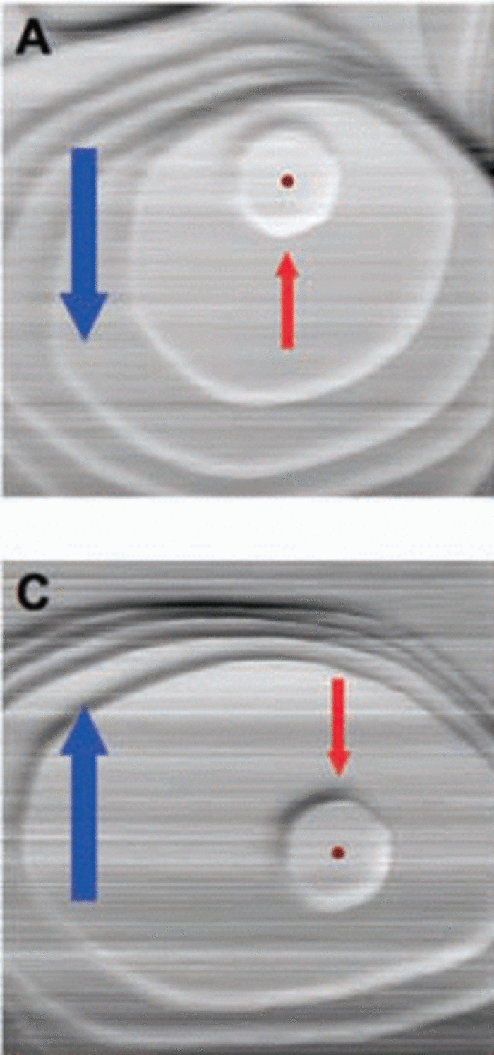 Inseln auf einem Nanodraht Inseln auf einem Nanodraht