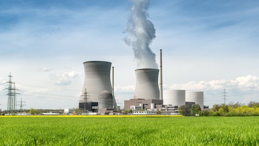 Das Bild zeigt ein aktives Atomkraftwerk und eine grüne Wiese.