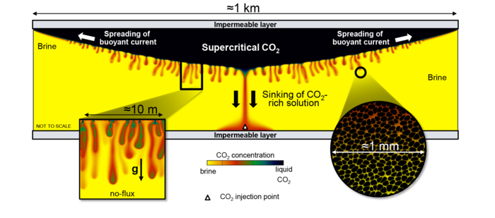 Schematische Darstellung des Mischprozesses von CO2 in einer salzhaltigen Gesteinsschicht. Oben befindet sich eine undurchlässige Schicht, darunter eine Schicht aus superkritischem CO₂. Pfeile zeigen die Ausbreitung von CO₂-Strömungen und das Absinken von CO₂-reicher Lösung in die Brine-Schicht. Ein vergrößerter Ausschnitt zeigt die Porenstruktur des Gesteins mit einem Maßstab von etwa 1 mm. Links unten ist ein weiterer vergrößerter Bereich abgebildet, der die Durchdringung des CO₂ in die Brine im Detail zeigt.