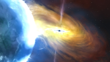 Ein blauer Stern wird in die gelb leuchtende Scheibe um ein Schwarzes Loch gezogen (künstlerische Darstellung)