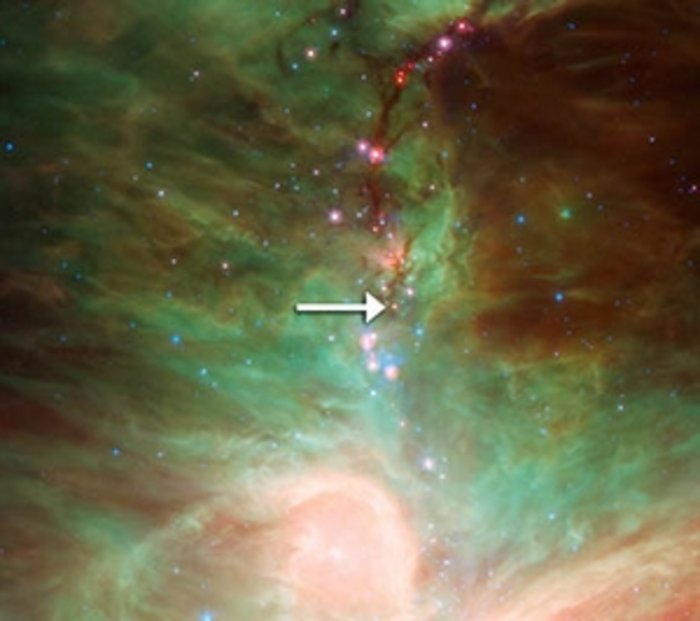 HOPS-68 im Sternbild Orion