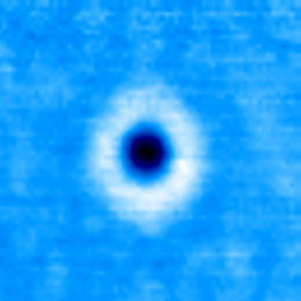 Mikroskopaufnahme: Hellblaue Fläche mit einem dunkelblauen Punkt in der Mitte