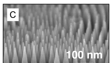 Schwarz-weiße Mikroskopaufnahme der Nanokegel