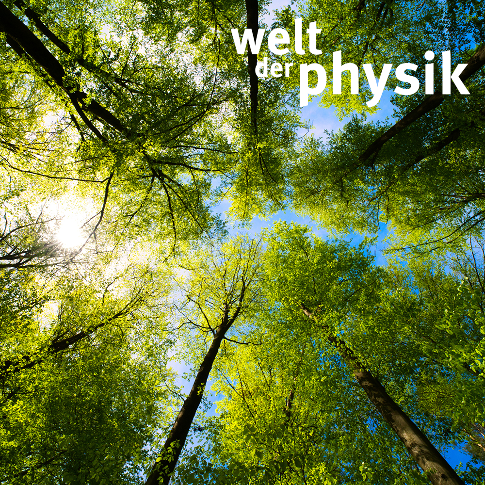 Folge 380 - CO2-Entnahme aus der Atmosphäre