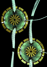 Zwei kreisförmige, kupferfarbene Ringe mit je zwei Bündeln weißer Anschlusskabel