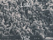 Schwarzweiß-Bild: LSM-Partikel als grobe Krümel aneinandergelagert, am unteren Bildrand dunkle Kante, als YSZ gekennzeichnet