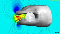 Computersimulation des Salamandermauls