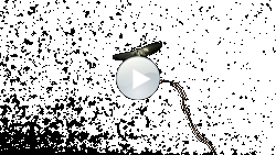 Roboterfliege, Bildquelle: Kevin Ma and Pakpong Chirarattananon, Harvard University, Lizenz: gemäß den Bedingungen der Quelle kleiner Flugroboter mit durchsichtigen Flügeln