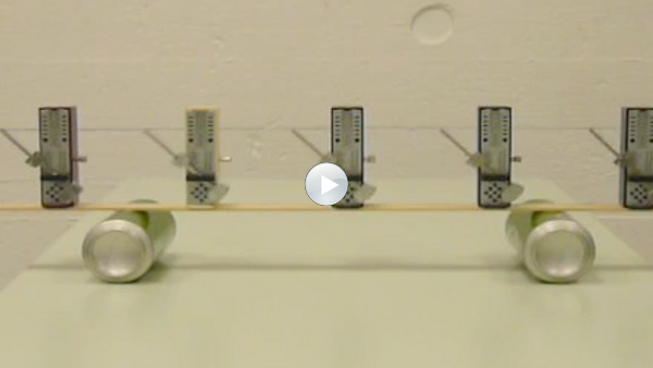 Fünf Metronome stehen auf einem leichten Brett, das wiederum auf zwei leeren Dosen liegt